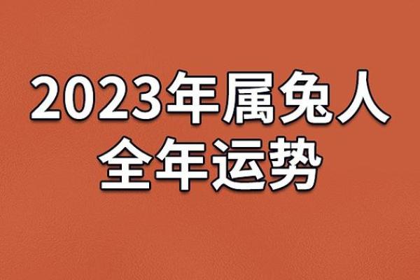 1987年属兔的人命理分析与运势解读